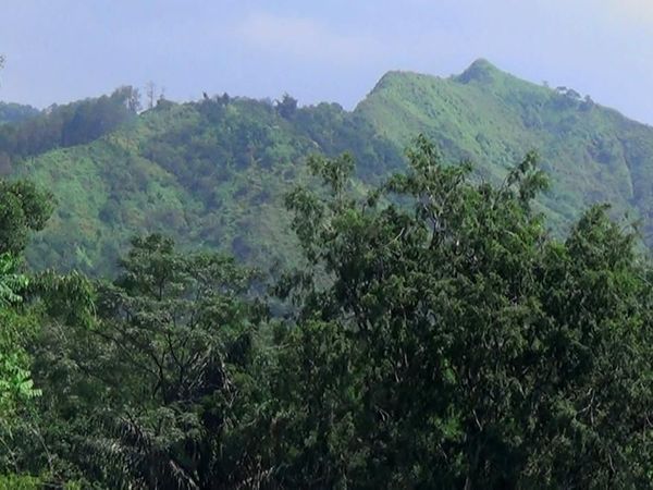 Foto: Jalur Alternatif Pemalang yang Asyik