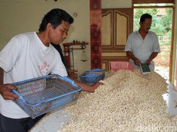 Berlebaran ke Wonogiri? Jangan Lupa Beli Kacang Mete di Sini