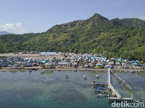 Tak Ada Pilihan Murah Melihat Komodo Tak Ada Pilihan Murah Melihat Komodo