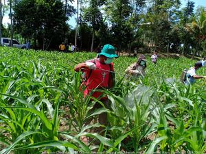 Serangan Hama Ulat Grayak di Sumatera, Kementan Lakukan Antisipasi