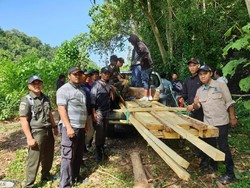 Polisi Tangkap 3 Orang Pelaku Pembalakan Liar di Sumbawa Barat