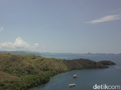 Gelombang Tinggi di TN Komodo, Turis Hanya Boleh ke Pulau Rinca