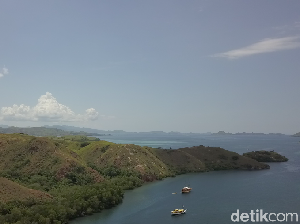 Gelombang Tinggi di TN Komodo, Turis Hanya Boleh ke Pulau Rinca Gelombang Tinggi di TN Komodo, Turis Hanya Boleh ke Pulau Rinca