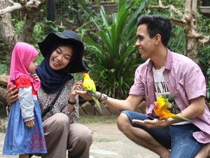 Mudik atau Lewat Lamongan, Coba Mampir ke Maharani Zoo dan Goa