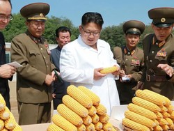 Hak Asasi Dipertaruhkan Agar Tidak Kelaparan di Korea Utara