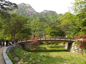 Pengalaman Pertama Wisata ke Negeri Ginseng Pengalaman Pertama Wisata ke Negeri Ginseng