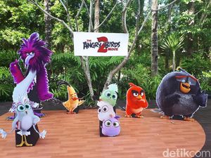 Hai Penggemar, Ada Pesan dari Produser Angry Birds