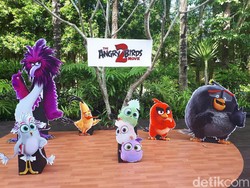 Hai Penggemar, Ada Pesan dari Produser Angry Birds