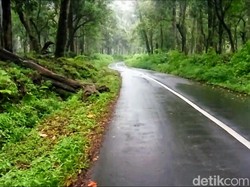 Dear Pemudik, Ini Jalan Alternatif via Ijen yang Bisa Hemat Waktu
