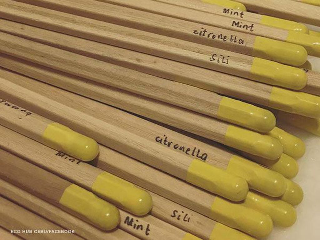 Unik, Ada Pensil yang Bisa Berubah Jadi Tanaman Hidup Setelah Tak Dipakai