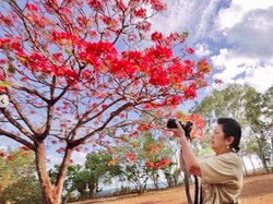 Beberapa Kiat Ani Yudhoyono Obati Diri Saat Masuk Angin