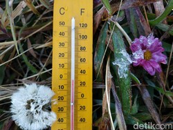 Sensasi Lebaran Membeku, Nikmati Pesona Embun Es di Puncak Dieng