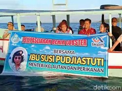 Menteri Susi Pudjiastuti Lepasliarkan Baby Lobster Sitaan Polda Jatim