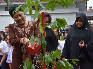 Pohon Bilalang Jadi Kenangan Indah Warga Parepare untuk Ani Yudhoyono Pohon Bilalang Jadi Kenangan Indah Warga Parepare untuk Ani Yudhoyono