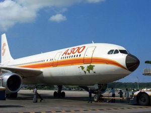 Foto: Kerajaan Pesawat Airbus dari Keluarga A300 Foto: Kerajaan Pesawat Airbus dari Keluarga A300