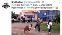 Meme-meme kocak berseliweran di media sosial. Salah satunya gambar manajer Tottenham, Mauricio Pochettino, ditanduk kambing berlogo Liverpool. (Foto: Twitter @ShotonGoal247)