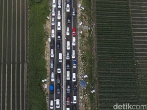 Melihat Lagi Kemacetan Tol Brexit 2016 Melihat Lagi Kemacetan Tol Brexit 2016