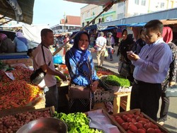 Pantau Harga Pangan di Pekanbaru, Kementan: Cukup dan Harga Normal