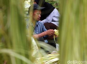 Potret Pedagang Kulit Ketupat Mengais Rezeki Jelang Idul Fitri