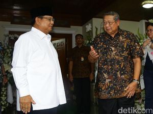 Pilihan Politik Bu Ani Diungkit, Demokrat Anggap BPN Tak Sensitif Pilihan Politik Bu Ani Diungkit, Demokrat Anggap BPN Tak Sensitif