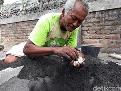 Kisah Rujito, Dulu Pemburu Kini Pelestari Penyu Peraih Kalpataru