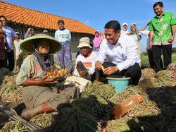 Kementan Paparkan Turunnya Ketimpangan Pendapatan di Desa dan Kota