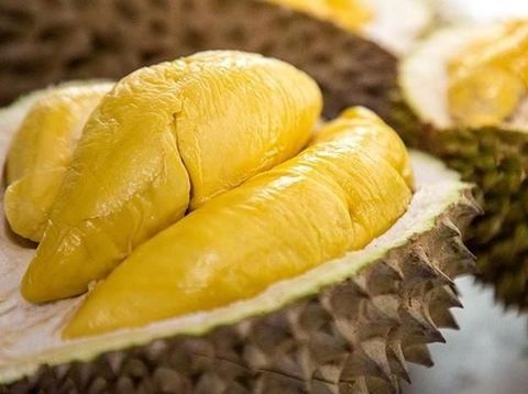 Makan Durian Selama Kehamilan Bikin Susah Lahiran Normal?