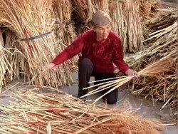 Mantap! Lidi Kelapa Asal Banten Berhasil Terbang ke India