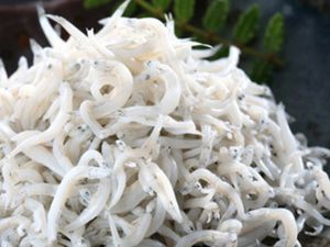 Lebaran di Medan, Jangan Lupa Borong 5 Oleh-oleh Ini