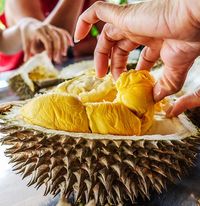 Johor Punya Durian Premium Baru