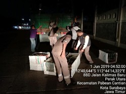 Penyelundupan 700 Ekor Burung dari Makassar ke Surabaya Digagalkan