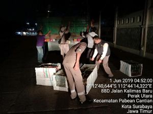 Penyelundupan 700 Ekor Burung dari Makassar ke Surabaya Digagalkan Penyelundupan 700 Ekor Burung dari Makassar ke Surabaya Digagalkan