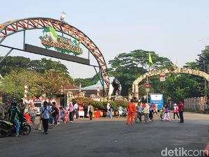 Akses Masuk Ragunan dari Pintu Utara dan Pintu Barat, Cek Infonya!