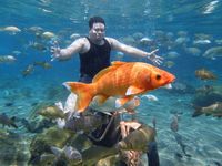 Bingung Habiskan Liburan? Ayo ke Balkondes dan BUMDes!