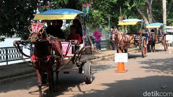 Delman dan Perahu Bebek Paling Diminati di Setu Babakan