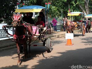 Delman dan Perahu Bebek Paling Diminati di Setu Babakan