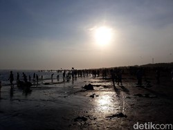 Hari Kedua Lebaran, 86 Wisatawan di Parangtritis Diserang Ubur-ubur