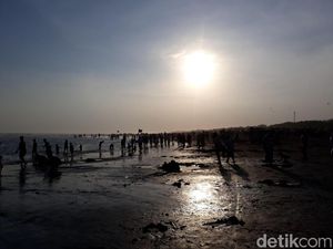 Hari Kedua Lebaran, 86 Wisatawan di Parangtritis Diserang Ubur-ubur Hari Kedua Lebaran, 86 Wisatawan di Parangtritis Diserang Ubur-ubur