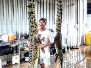 Mengejar Dolar Australia ke Kandang Buaya