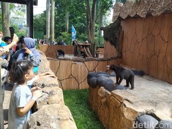 Libur Lebaran, Wisatawan Sesaki Kebun Binatang Bandung