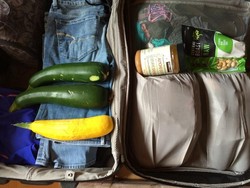 Sayang Dibuang, Penumpang Ini Habiskan Acar Miliknya Sebelum Naik Pesawat