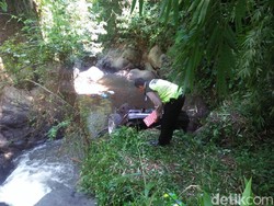 Mobil Terjun ke Sungai di Lumajang, Sekeluarga Selamat