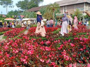 Masih Mudik di Bandung, Mampir ke Taman Begonia Yuk! Masih Mudik di Bandung, Mampir ke Taman Begonia Yuk!