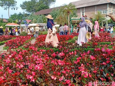 Yang Cantik-cantik di Bandung Barat