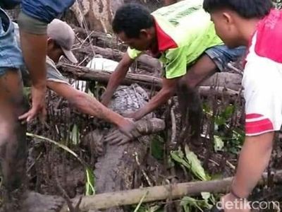Foto: Pantai Sumbawa Banyak Buaya, Dijadikan Tempat Wisata