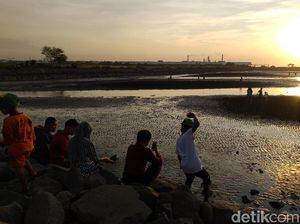 Nikmati Libur Lebaran Sambil Menikmati Hiu Tutul, Pantai Ini Tempatnya