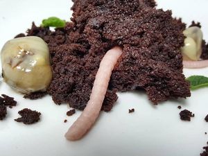 Dessert Ini Persis Sabun, Cacing hingga Tanah Sungguhan