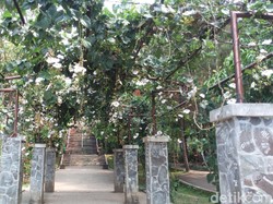 Lelah Nyetir, Pemudik Bisa Rehat di Taman Kota Jalan Lingkar Salatiga