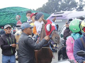 Saat Kuda Beri Isyarat Tangkuban Perahu akan Alami Erupsi