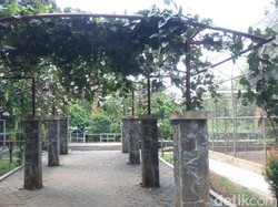 5 Kota Sejuk di Indonesia yang Cocok buat Pensiunan